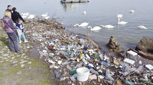 Депонија на обали Дунава